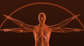 RibCageScience.jpg